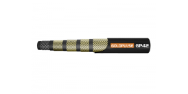 GP42 GOLDPULSE EN856 4SH GP42 GOLDPULSE EN856 4SH