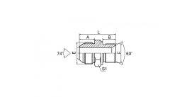 1JM JIC НАРУЖНАЯ КОНУС 74° / МЕТРИЧЕСКАЯ НАРУЖНАЯ СЕДЛО 60° 1JM JIC НАРУЖНАЯ КОНУС 74° / МЕТРИЧЕСКАЯ НАРУЖНАЯ СЕДЛО 60°