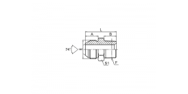 1JN JIC НАРУЖНАЯ РЕЗЬБА КОНУС 74° / NPT НАРУЖНАЯ РЕЗЬБА 1JN JIC НАРУЖНАЯ РЕЗЬБА КОНУС 74° / NPT НАРУЖНАЯ РЕЗЬБА