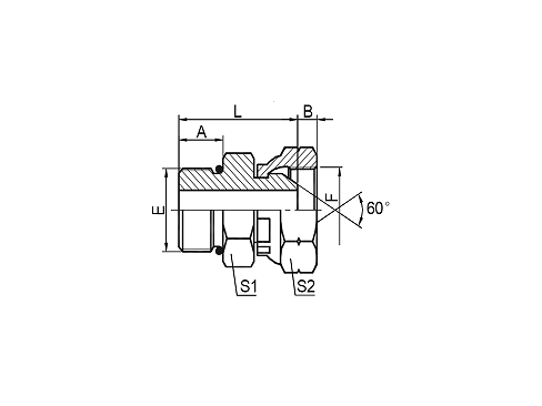 2OB SAE O-RING BOSS/BSP FEMALE 60° КОНУС 2OB SAE O-RING BOSS/BSP FEMALE 60° КОНУС