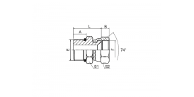 2OJ SAE O-RING BOSS/JIC FEMALE 74° SEAT