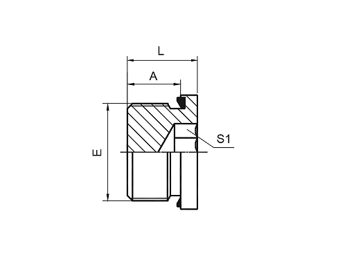 4BN-WD BSP НАРУЖНАЯ С ПЛОСКОСТНОЙ УПЛОТНИТЕЛЬНОЙ ПОЛОЙ ШЕСТИГРАННОЙ ЗАГЛУШКОЙ 4BN-WD BSP НАРУЖНАЯ С ПЛОСКОСТНОЙ УПЛОТНИТЕЛЬНОЙ ПОЛОЙ ШЕСТИГРАННОЙ ЗАГЛУШКОЙ