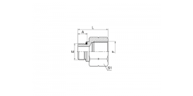5GB BSP НАРУЖНОЕ УПЛОТНИТЕЛЬНОЕ КОЛЬЦО / BSP ВНУТРЕННЕЕ ISO 1179 5GB BSP НАРУЖНОЕ УПЛОТНИТЕЛЬНОЕ КОЛЬЦО / BSP ВНУТРЕННЕЕ ISO 1179