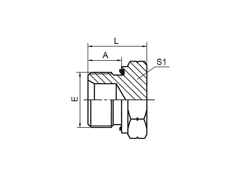 4B-WD BSP НАРУЖНАЯ ПРОБКА С УПЛОТНЕНИЕМ 4B-WD BSP НАРУЖНАЯ ПРОБКА С УПЛОТНЕНИЕМ