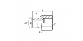 5B-HS BSP НАРУЖНАЯ РЕЗЬБА 60° СЕДЛО/BSP ВНУТРЕННЯЯ РЕЗЬБА 5B-HS BSP НАРУЖНАЯ РЕЗЬБА 60° СЕДЛО/BSP ВНУТРЕННЯЯ РЕЗЬБА