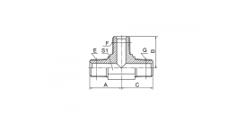 МУЖЧИНА ДНЯО