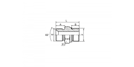 1BG BSP НАРУЖНАЯ РЕЗЬБА ДВОЙНОГО ИСПОЛЬЗОВАНИЯ ДЛЯ КОНУСНОГО СЕДЛА 60° ИЛИ СВАРНОГО УПЛОТНЕНИЯ / УПЛОТНИТЕЛЬНОЕ КОЛЬЦО BSP НАРУЖНАЯ РЕЗЬБА 1BG BSP НАРУЖНАЯ РЕЗЬБА ДВОЙНОГО ИСПОЛЬЗОВАНИЯ ДЛЯ КОНУСНОГО СЕДЛА 60° ИЛИ СВАРНОГО УПЛОТНЕНИЯ / УПЛОТНИТЕЛЬНОЕ КОЛЬЦО BSP НАРУЖНАЯ РЕЗЬБА