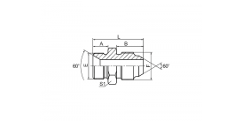 1BK BSP НАРУЖНАЯ 60° СЕДЛО/JIS МЕТРИЧЕСКАЯ НАРУЖНАЯ 60° КОНУС 1BK BSP НАРУЖНАЯ 60° СЕДЛО/JIS МЕТРИЧЕСКАЯ НАРУЖНАЯ 60° КОНУС