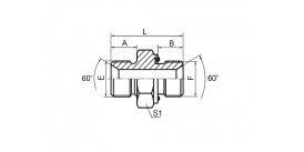 1BM-WD BSPP НАРУЖНАЯ/МЕТРИЧЕСКАЯ НАРУЖНАЯ С ЗАЩИТНЫМ УПЛОТНЕНИЕМ 1BM-WD BSPP НАРУЖНАЯ/МЕТРИЧЕСКАЯ НАРУЖНАЯ С ЗАЩИТНЫМ УПЛОТНЕНИЕМ
