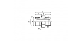 1BT-SP BSP НАРУЖНАЯ РЕЗЬБА ДВОЙНОГО ИСПОЛЬЗОВАНИЯ ДЛЯ КОНУСНОГО СЕДЛА 60° ИЛИ СВАРНОГО УПЛОТНЕНИЯ / BSPT НАРУЖНАЯ РЕЗЬБА 1BT-SP BSP НАРУЖНАЯ РЕЗЬБА ДВОЙНОГО ИСПОЛЬЗОВАНИЯ ДЛЯ КОНУСНОГО СЕДЛА 60° ИЛИ СВАРНОГО УПЛОТНЕНИЯ / BSPT НАРУЖНАЯ РЕЗЬБА