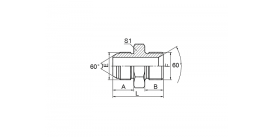 1SB JIS GAS MALE 60° КОНУС/BSP MALE 60° СЕДЛО 1SB JIS GAS MALE 60° КОНУС/BSP MALE 60° СЕДЛО