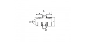 1SG JIS GAS НАРУЖНАЯ КОНУС 60° / УПЛОТНИТЕЛЬНОЕ КОЛЬЦО BSP НАРУЖНАЯ 1SG JIS GAS НАРУЖНАЯ КОНУС 60° / УПЛОТНИТЕЛЬНОЕ КОЛЬЦО BSP НАРУЖНАЯ