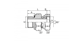 2GB BSP НАРУЖНАЯ УПЛОТНИТЕЛЬНОЕ КОЛЬЦО/BSP ВНУТРЕННЯЯ 60° 2GB BSP НАРУЖНАЯ УПЛОТНИТЕЛЬНОЕ КОЛЬЦО/BSP ВНУТРЕННЯЯ 60°