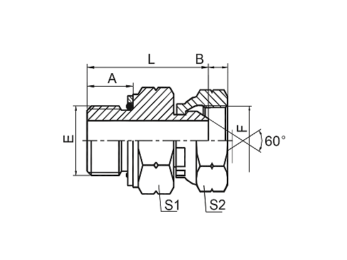 2GB BSP НАРУЖНАЯ УПЛОТНИТЕЛЬНОЕ КОЛЬЦО/BSP ВНУТРЕННЯЯ 60° 2GB BSP НАРУЖНАЯ УПЛОТНИТЕЛЬНОЕ КОЛЬЦО/BSP ВНУТРЕННЯЯ 60°