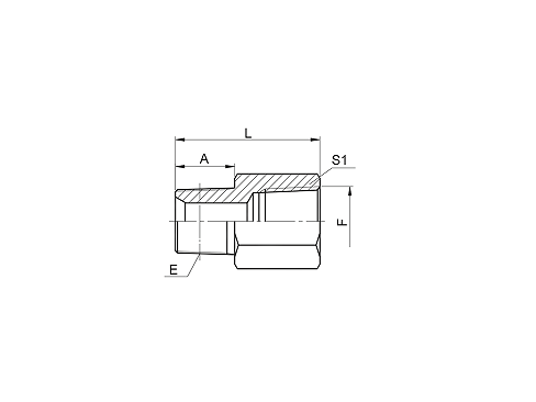 5TN-SP BSPT НАРУЖНАЯ / NPT ВНУТРЕННЯЯ 5TN-SP BSPT НАРУЖНАЯ / NPT ВНУТРЕННЯЯ