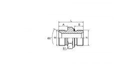 1B-WD SP НАРУЖНАЯ ДВОЙНАЯ РЕЗЬБА ДЛЯ КОНУСНОГО СЕДЛА 60° ИЛИ СВАРНОГО УПЛОТНЕНИЯ / BSP НАРУЖНАЯ НЕДЕРЖИМАЯ РЕЗЬБА УПЛОТНЕНИЯ 1B-WD SP НАРУЖНАЯ ДВОЙНАЯ РЕЗЬБА ДЛЯ КОНУСНОГО СЕДЛА 60° ИЛИ СВАРНОГО УПЛОТНЕНИЯ / BSP НАРУЖНАЯ НЕДЕРЖИМАЯ РЕЗЬБА УПЛОТНЕНИЯ