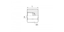 9N-CAP NPT ВНУТРЕННЯЯ ПРОБКА 9N-CAP NPT ВНУТРЕННЯЯ ПРОБКА