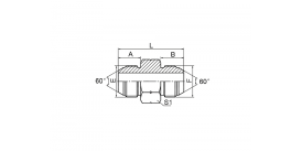 1S JIS GAS НАРУЖНАЯ КОНУС 60°