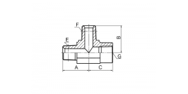 LN NPT НАРУЖНАЯ / NPT НАРУЖНАЯ / NPT ЖЕНСКАЯ LN NPT НАРУЖНАЯ / NPT НАРУЖНАЯ / NPT ЖЕНСКАЯ